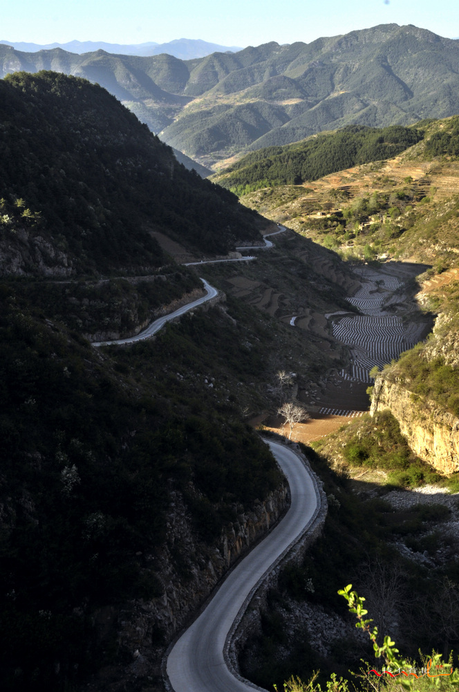 ƽ˳��Բ (3).jpg