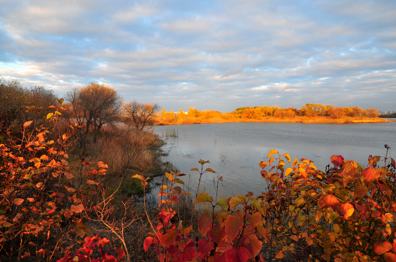 DSC_7663.jpg