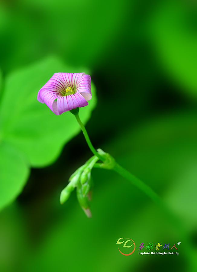 DSC_6876 .jpg
