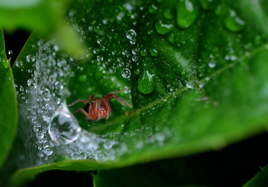 DSC_5444 .jpg