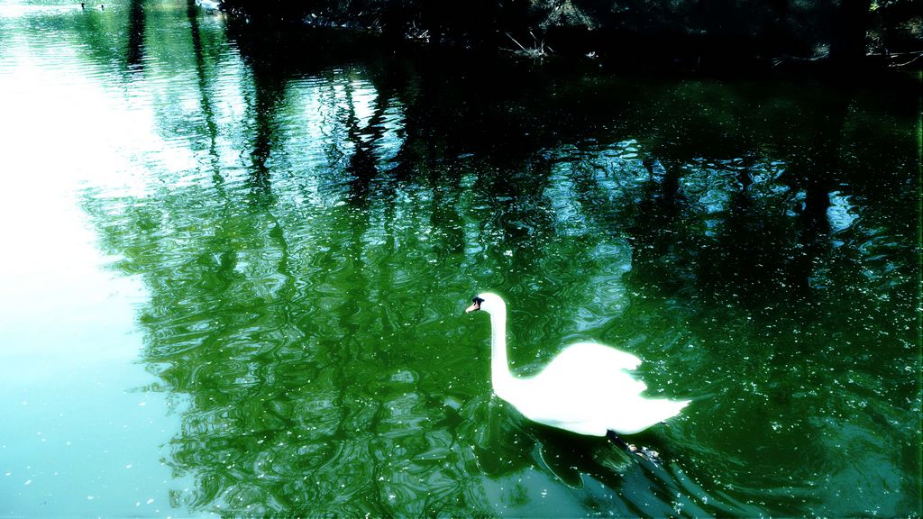DSC01456.JPG