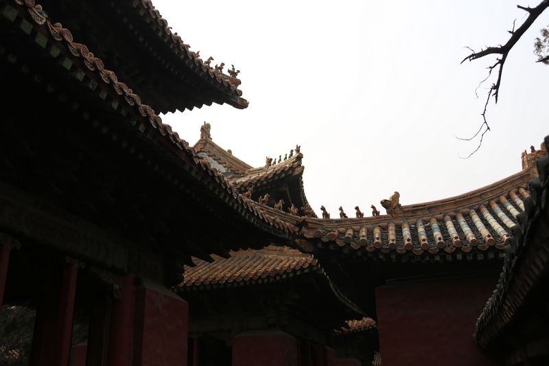 QI1A8328.jpg