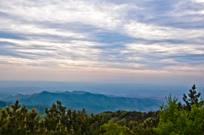 DSC_0542.jpg