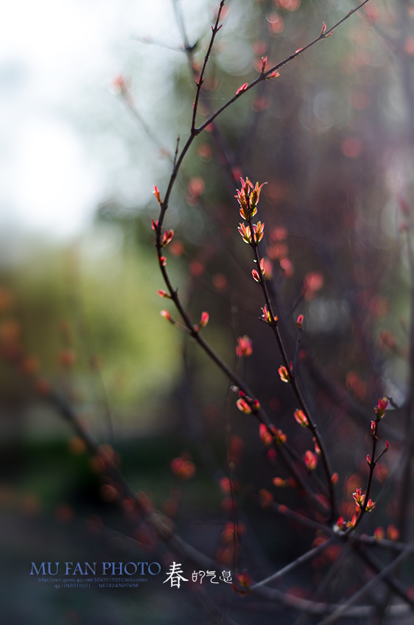 ϵ