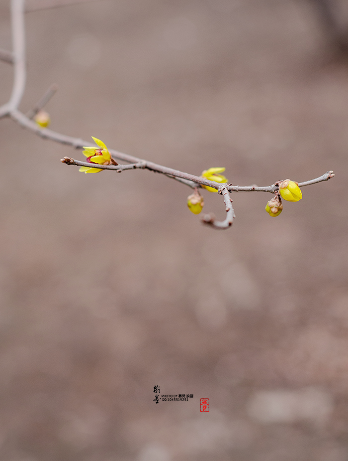 ϵ
