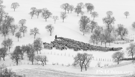 01.лRPSͭƷWinter Pasturing.jpg