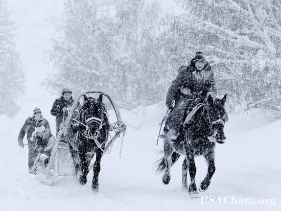 06.ԾƷѩ·̡The snow away.jpg
