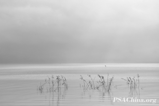 20.˽Ʒ̫Still Taihu lake.jpg
