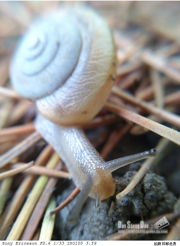 2013-05-27-17.jpg