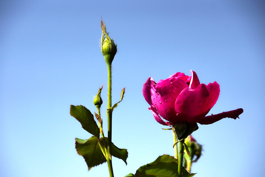 DSC00235.JPG