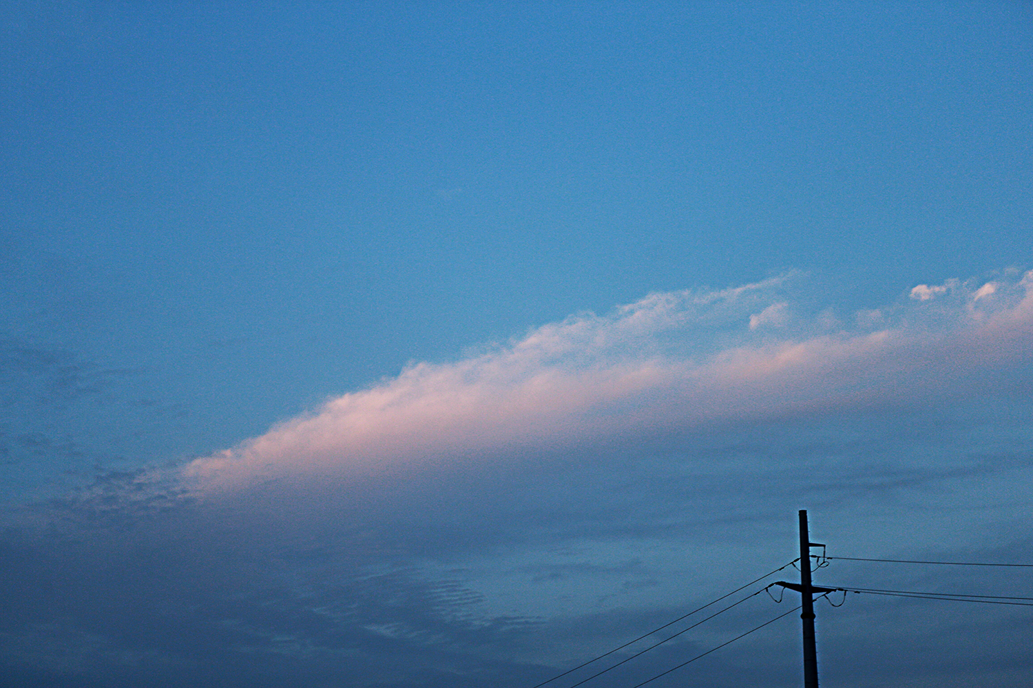 H46R8325.jpg