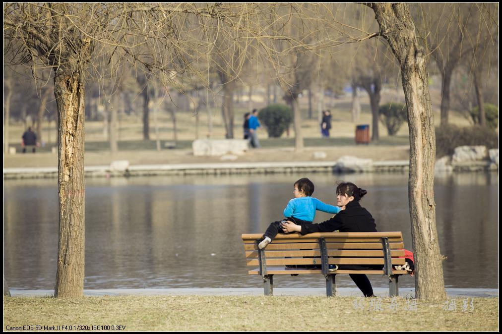 _MG_8424.jpg