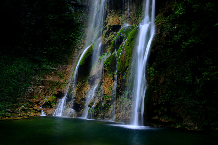 DSC_8679 A.jpg