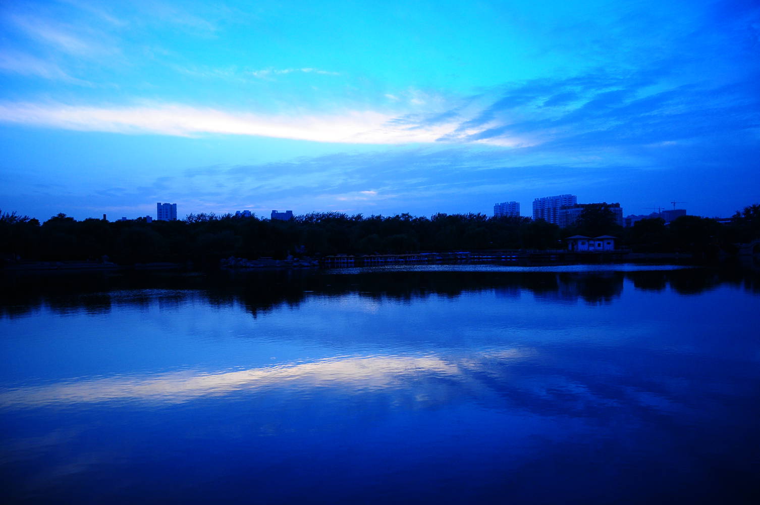 DSC_7118_3.jpg