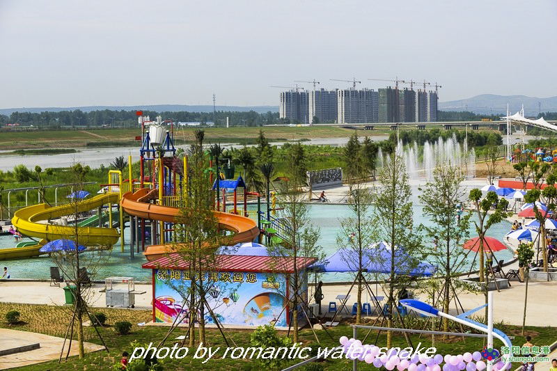6_71842_19d085491d8ff7b.jpg