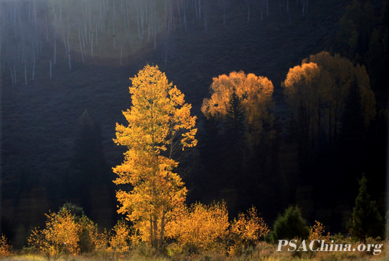 ˴Ʒɫ()color of autumn.jpg