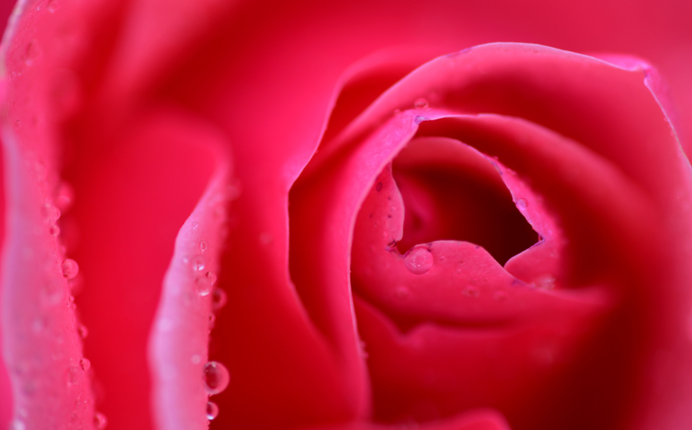 DSC_8980.JPG