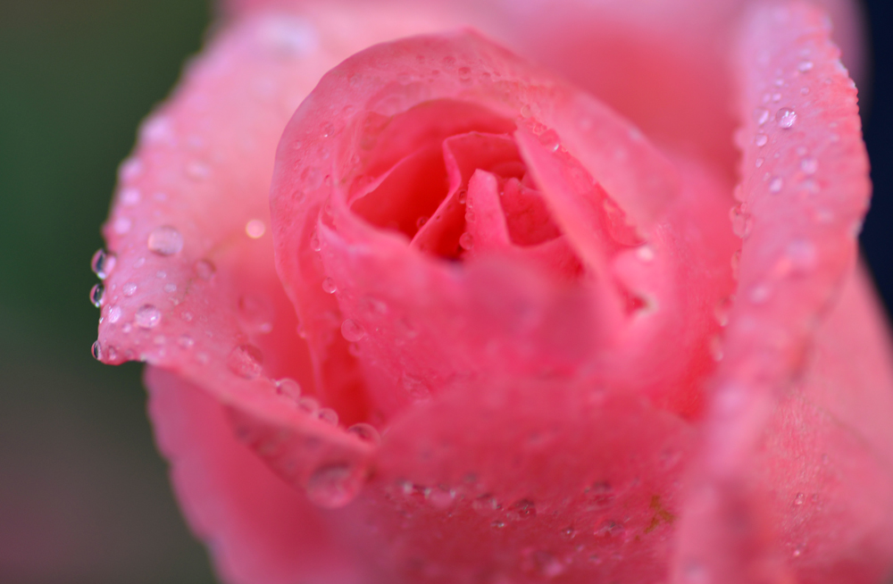DSC_9017.JPG