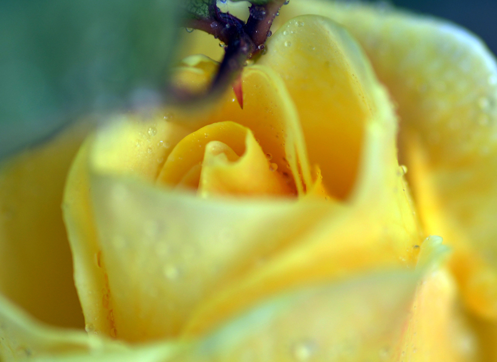 DSC_9018.JPG