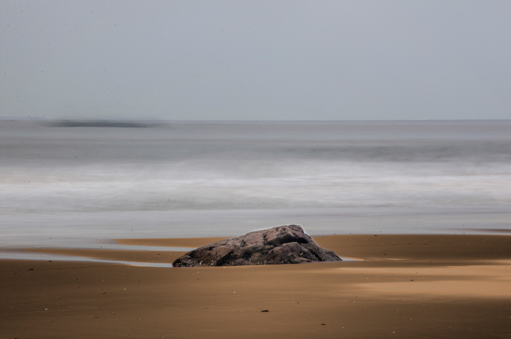 DSC_0078-1.jpg