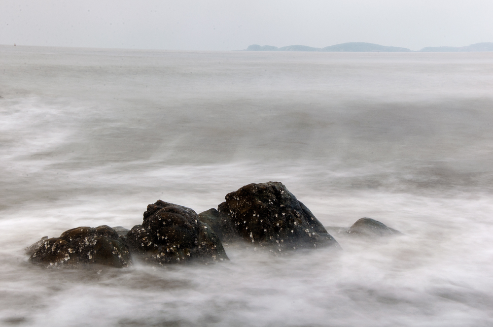 DSC_0080-1.jpg
