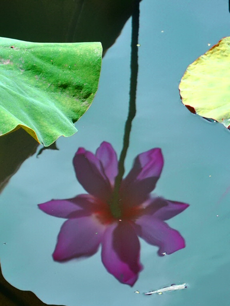 DSC_0389__.jpg