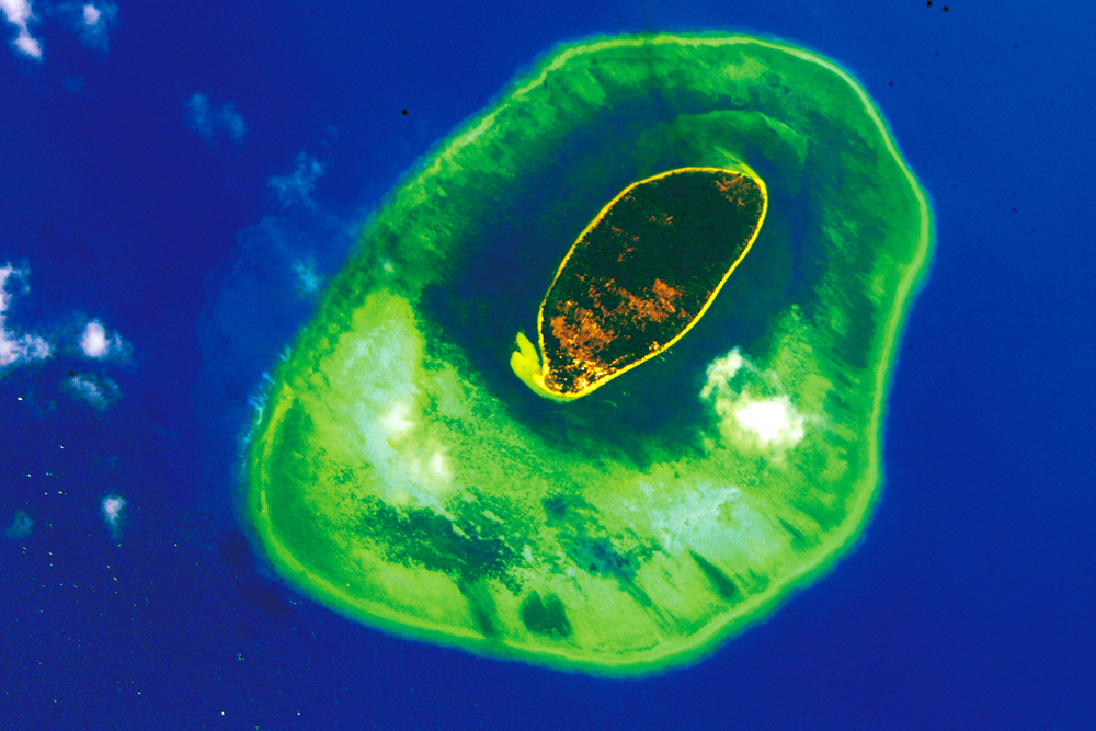 IMGL0796.jpg