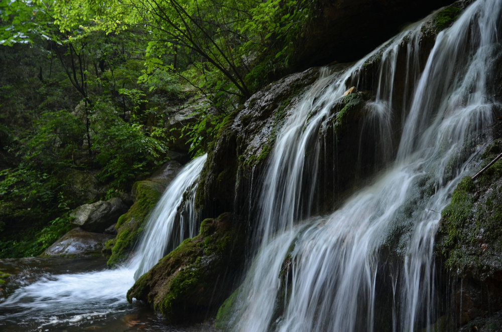 DSC_4664_1.JPG