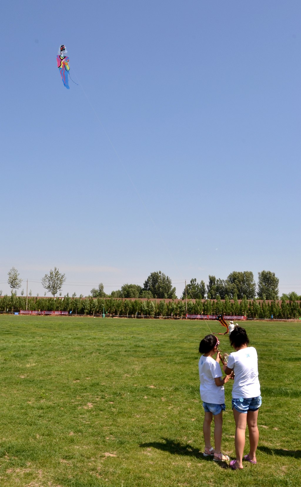 DSC_2590_.jpg