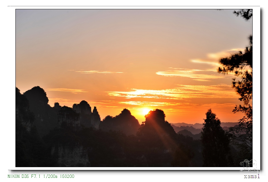 DSC_6649XX.jpg