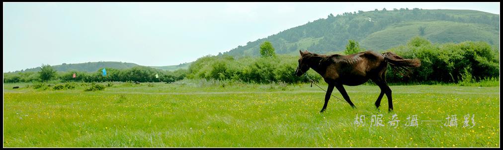 _MG_4977Ϊܶ-1.jpg