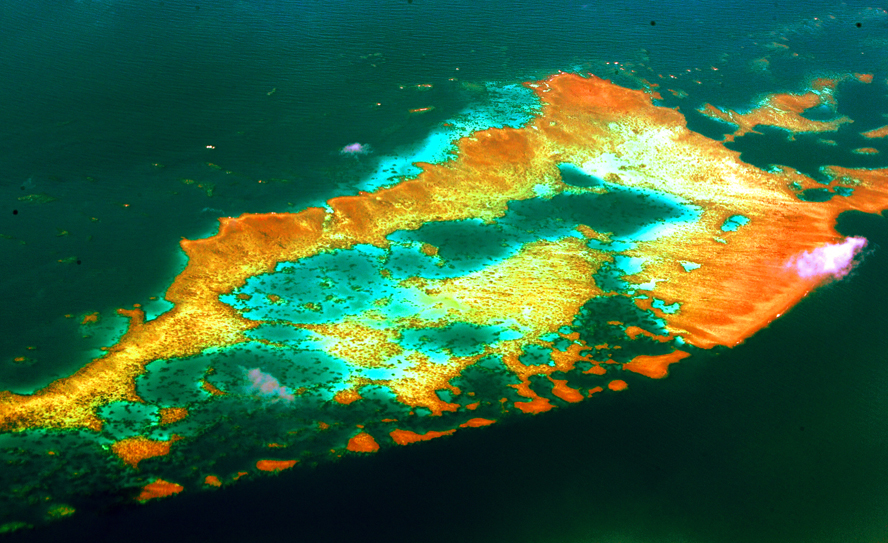 IMGL7901.JPG