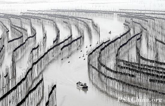 01.FOT01.OFERIAƷϡRhythm of Sea.jpg