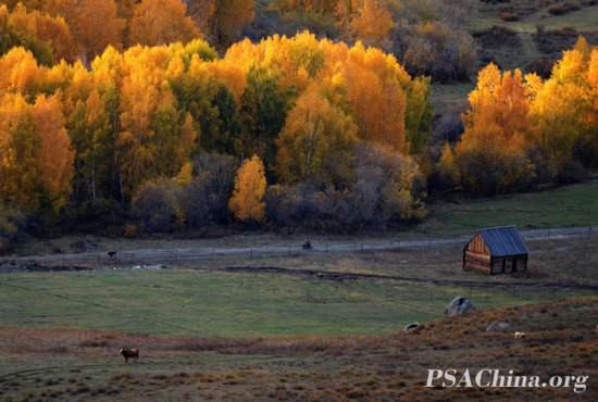 05.¾Ʒ⡷AUTUMN.jpg