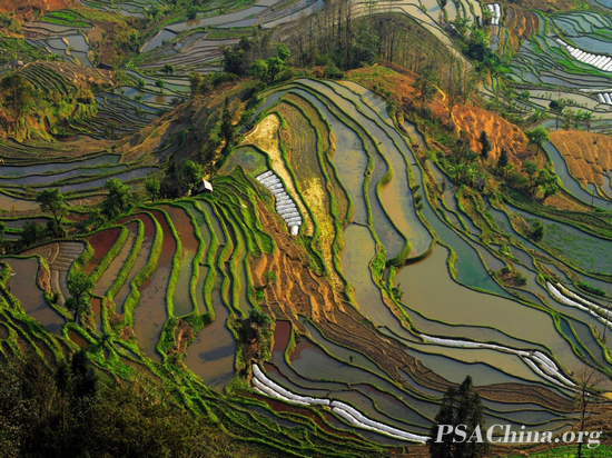 10.ԾƷɡ Rhythm of the earth.jpg