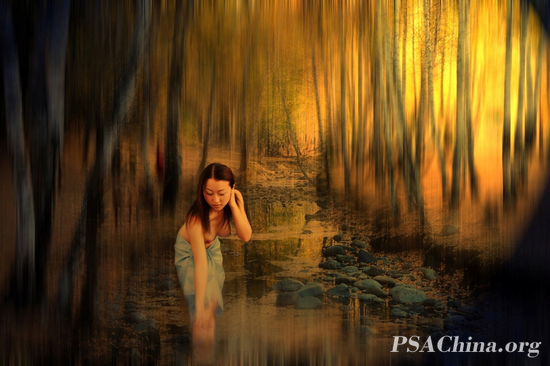 12.־ƷС In the woods.jpg