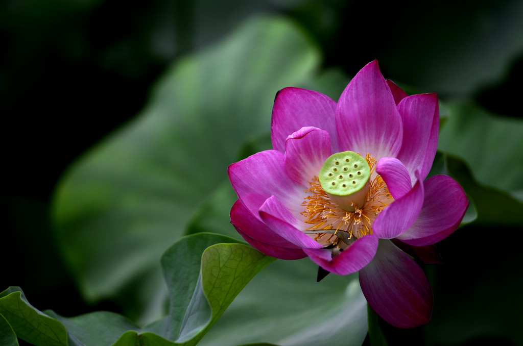 _DSC8235(1024.jpg