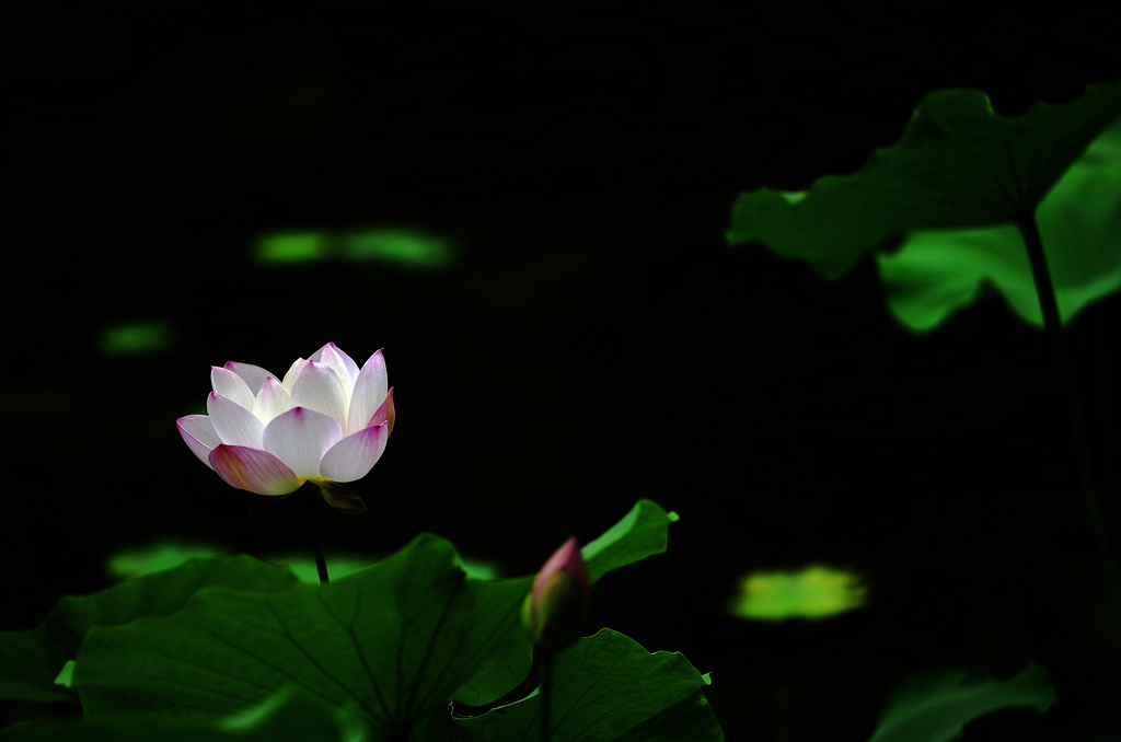_DSC8659(1024.jpg