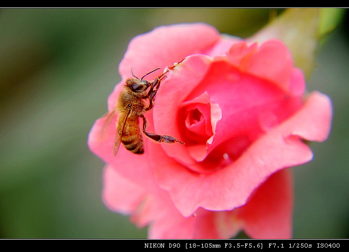 DSC_0076.JPG