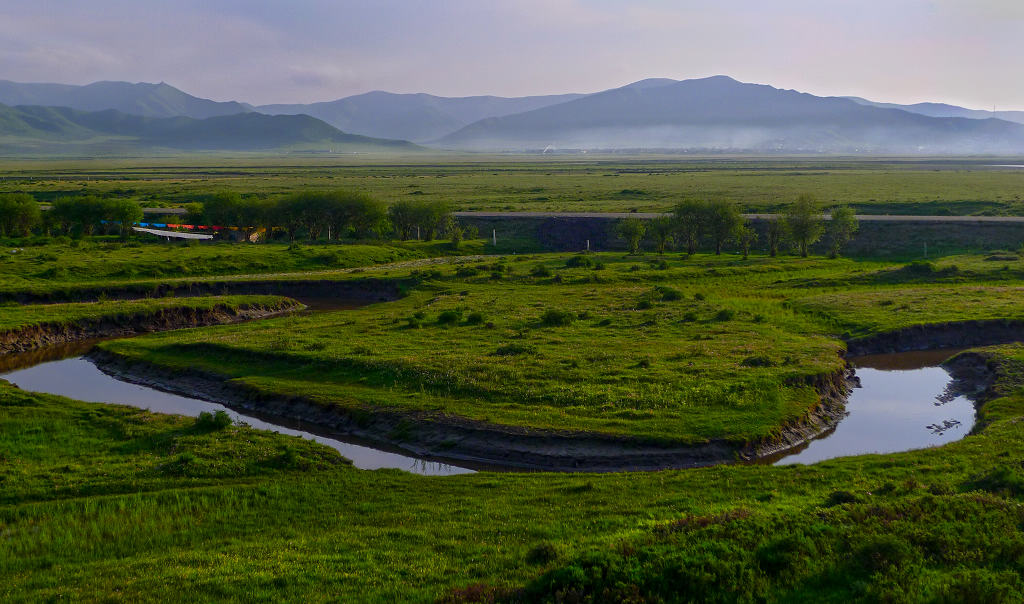 P1010250px.jpg