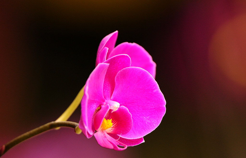 DSC_0122  3.jpg