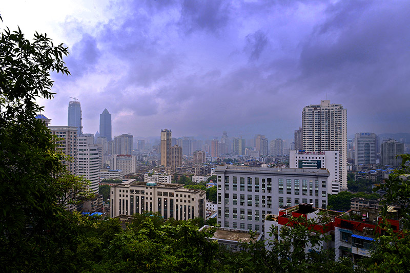 DSC_2648 .jpg