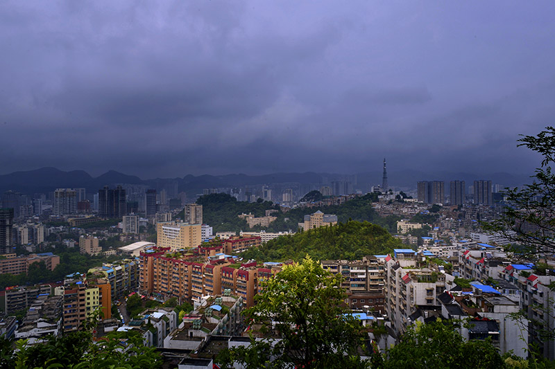 DSC_2651 1.jpg