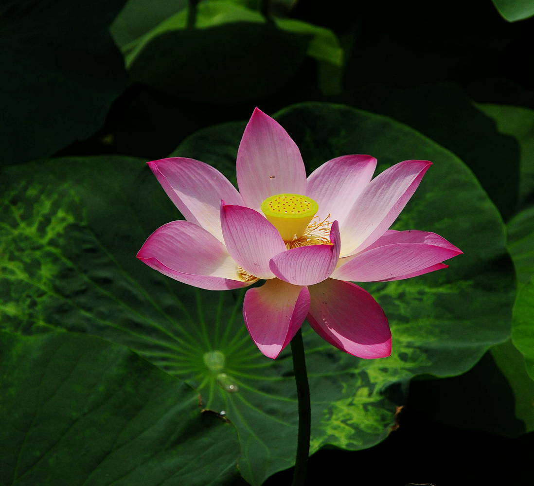 DSC_8038_3.jpg