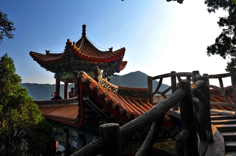 nEO_IMG_LQY_2368.jpg