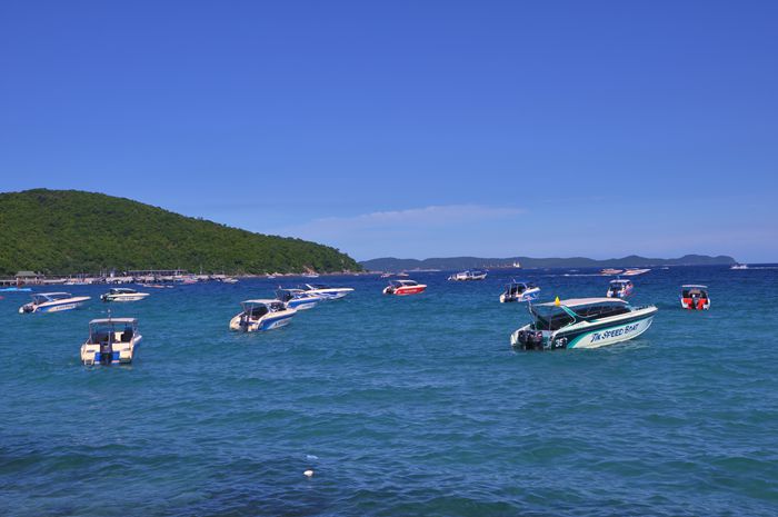 05.jpg