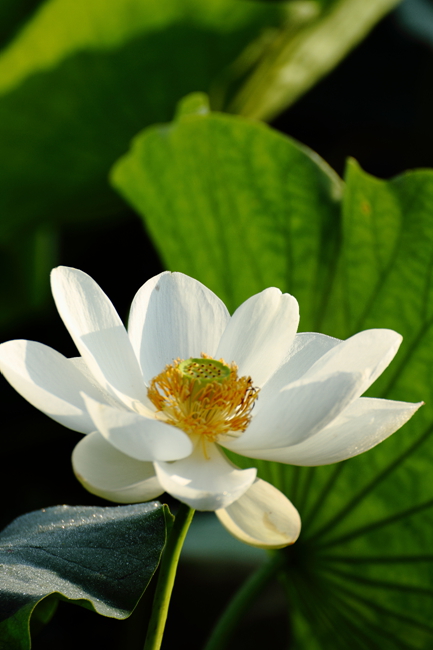 DPP_0063_.jpg