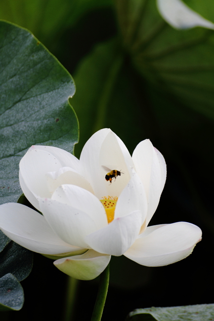 DPP_0070_.jpg