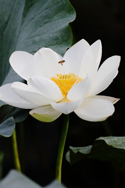 DPP_0073_.jpg