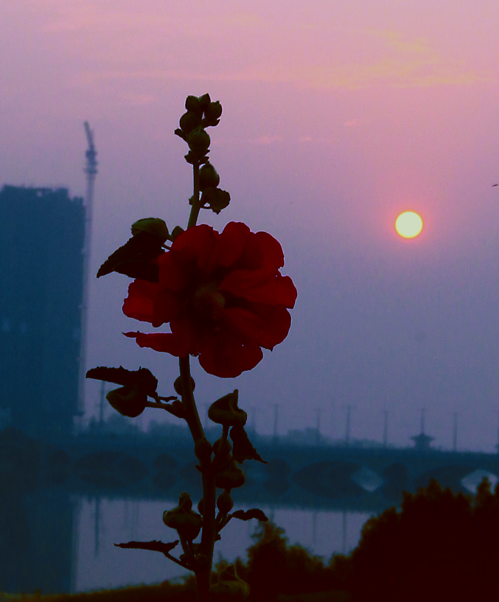 IMG_7584.JPG